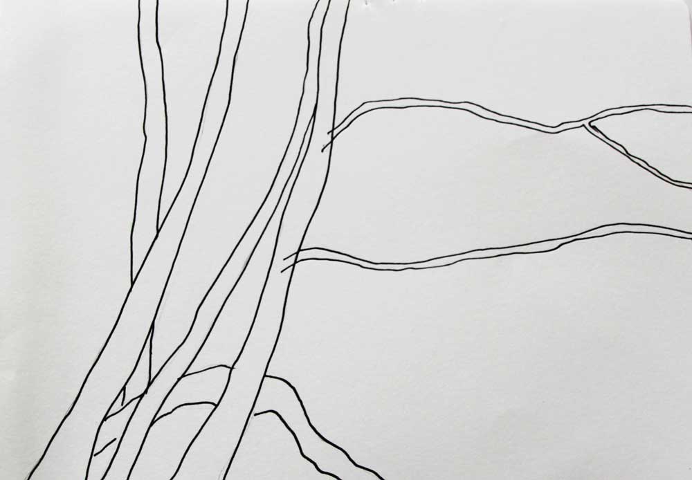 Natursysteme (Krumme Lanke) Tinte auf Papier