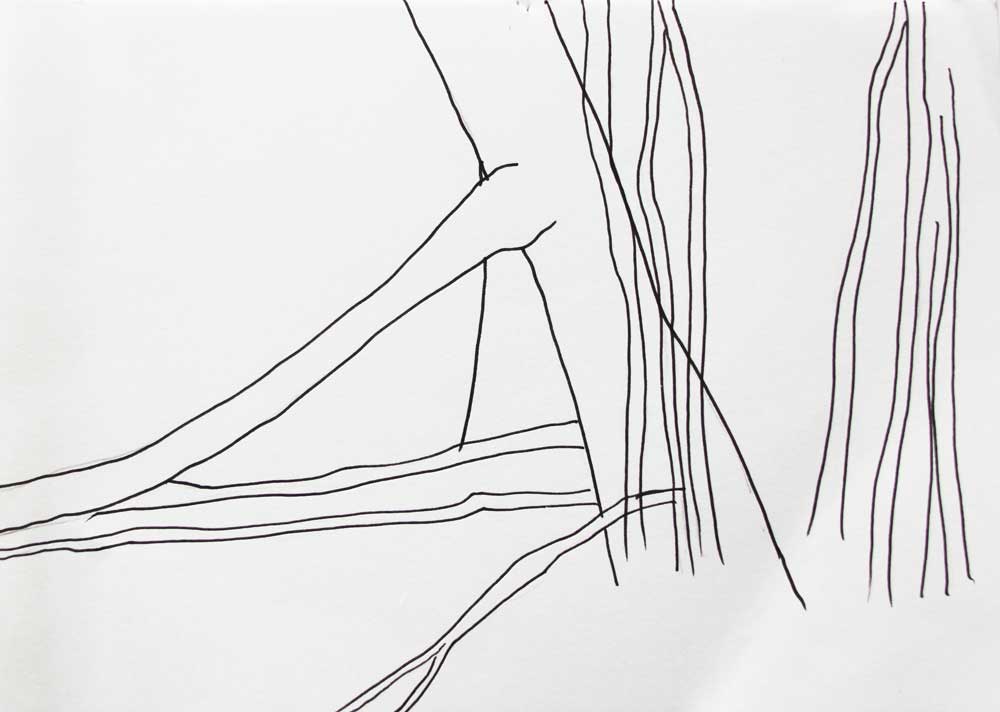 Natursysteme (Krumme Lanke), Tinte auf Papier
